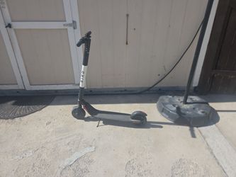 Bird electric scooter (NO MOTOR!)