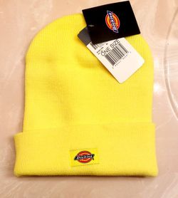 New Dickies winter hay $10