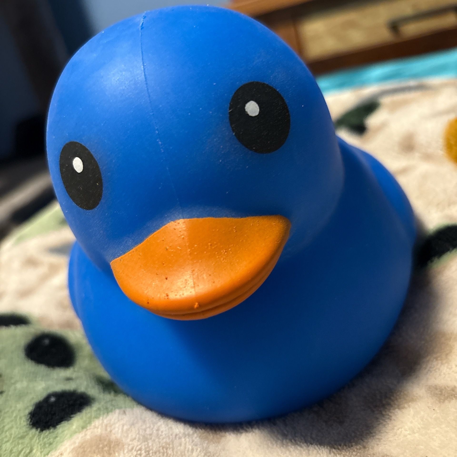 Blue squishy duck