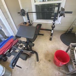 Weider Bench Set (with Weights And Bar Included)