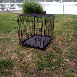 Metal Dog Crate