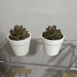 Small Fake Plants
