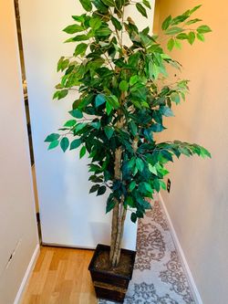 Large Artificial Ficus Tree with Planter