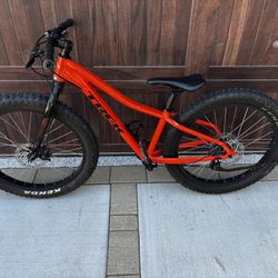 Trek Roscoe Fat Tire Mountain Bike