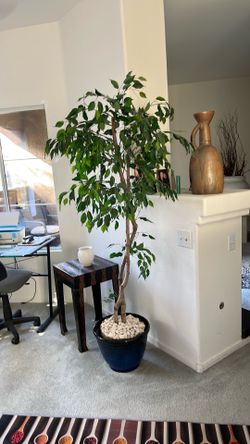 Standing plant