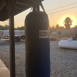 Prolate Punching Bag