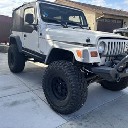 1997 Jeep TJ Caged And Center Mount Long Arm Kit 