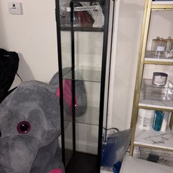 Display Shelf 