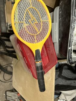 Electric Fly Scatter