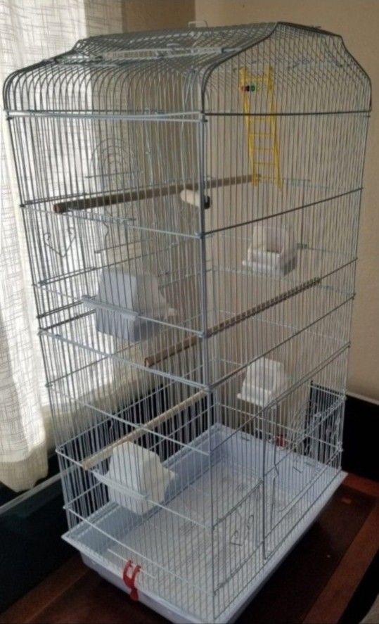 Brand New Bird Cage π¦