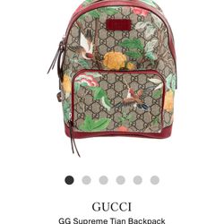 Gucci Backpack 