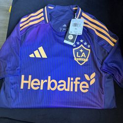 Los Angeles Galaxy Adidas Away 25/26