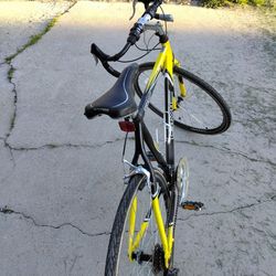 Denali Roadster Bike