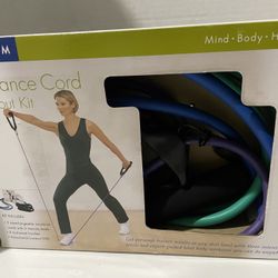 Gaiam Resistance Cord Workout Kit