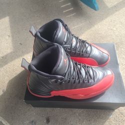 Air jordan 12s
