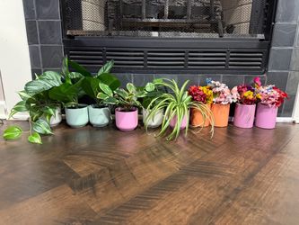 Colorful Ceramic Plant Pots Set of 10