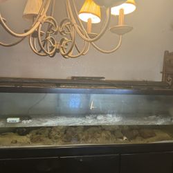 Salt water Tank