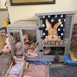 Holland Lop Bunny With House Set Up Litter Box Trained 