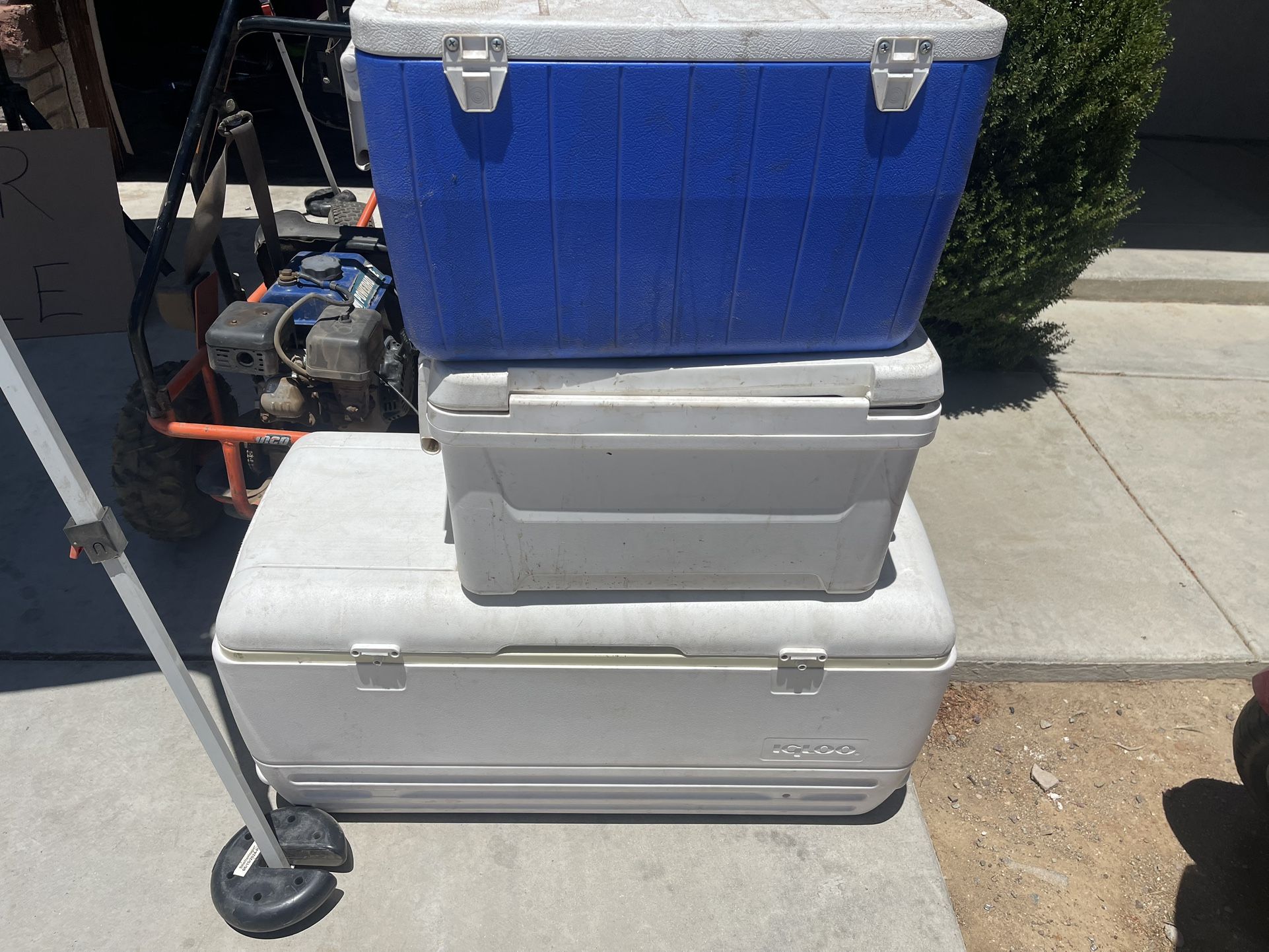 Bingo Kit & Cooler