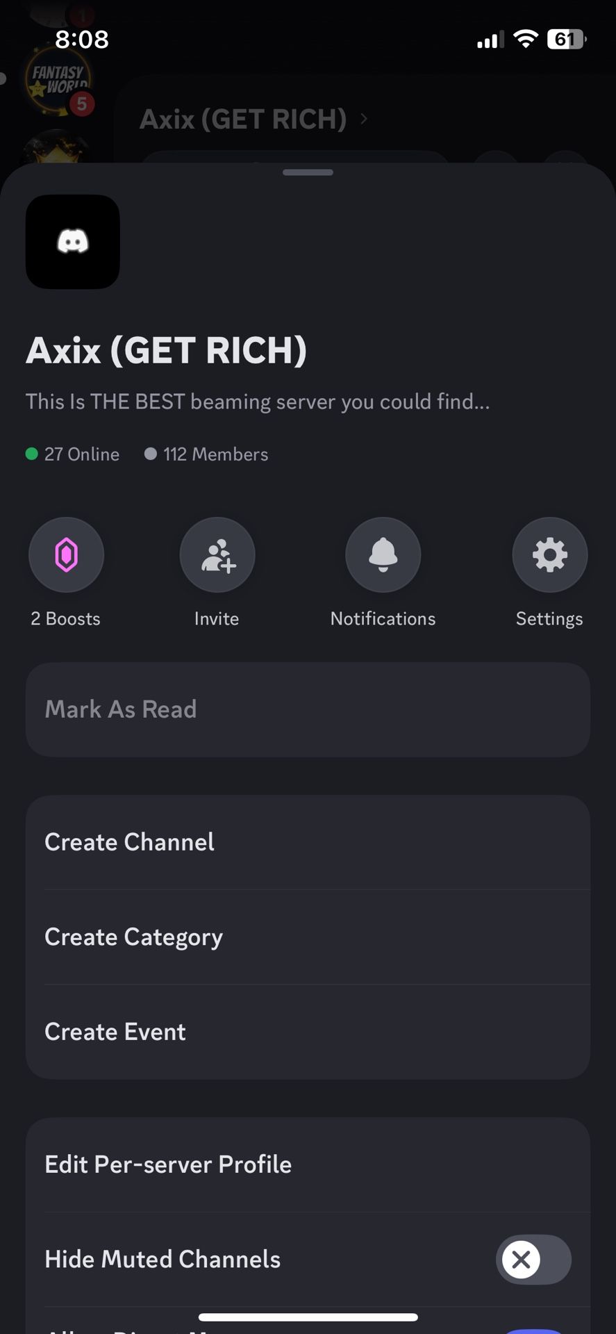 Professional Discord Server