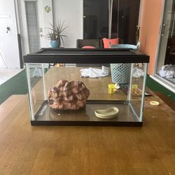 Critter Bug Tank With Accessories