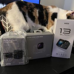 GoPro Hero 13