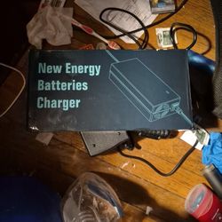 New Energy Batteries Charger
