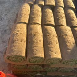 Fresh Sod - Mega Low Price 