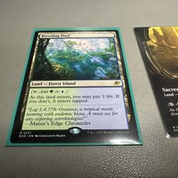 Magic The Gathering Breeding Pool