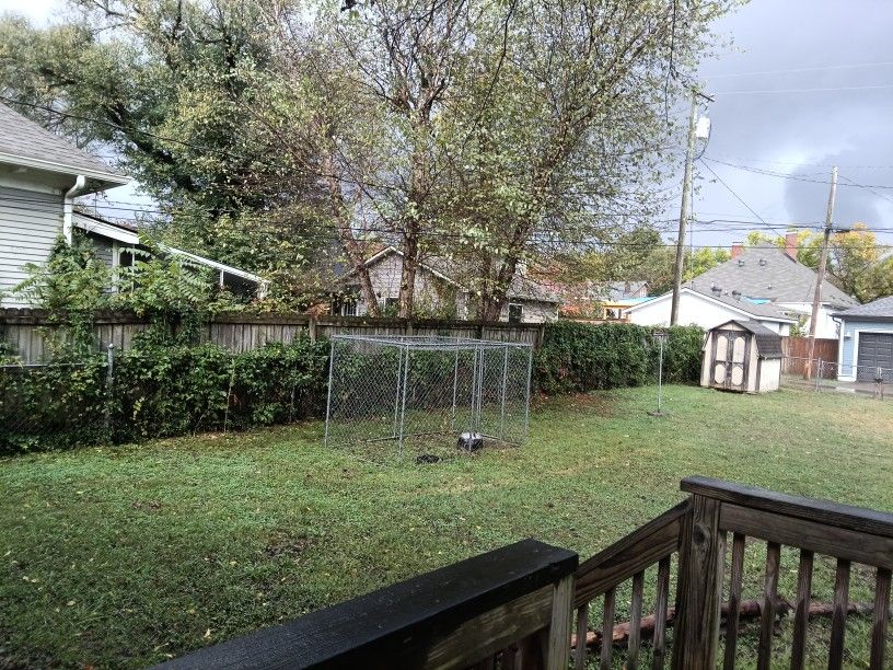 Extra Large Dog Cage