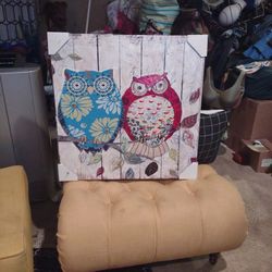 picture owl