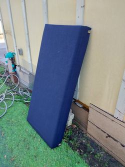 24 × 55 Big Mattress for "Big Dogs" or Any Pet
