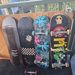 Skate Boards 