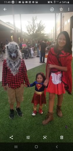 Wolf, Red Robin, Superwoman costumes