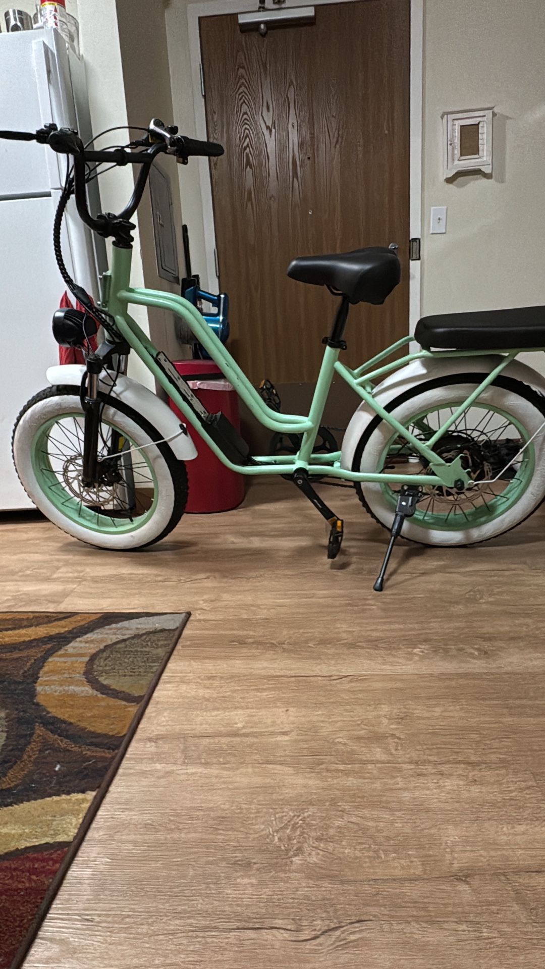 20” E-bike