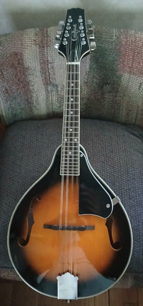 Like New Mandolin With A Beautiful Vintage Tobacco Sunburst Finish 