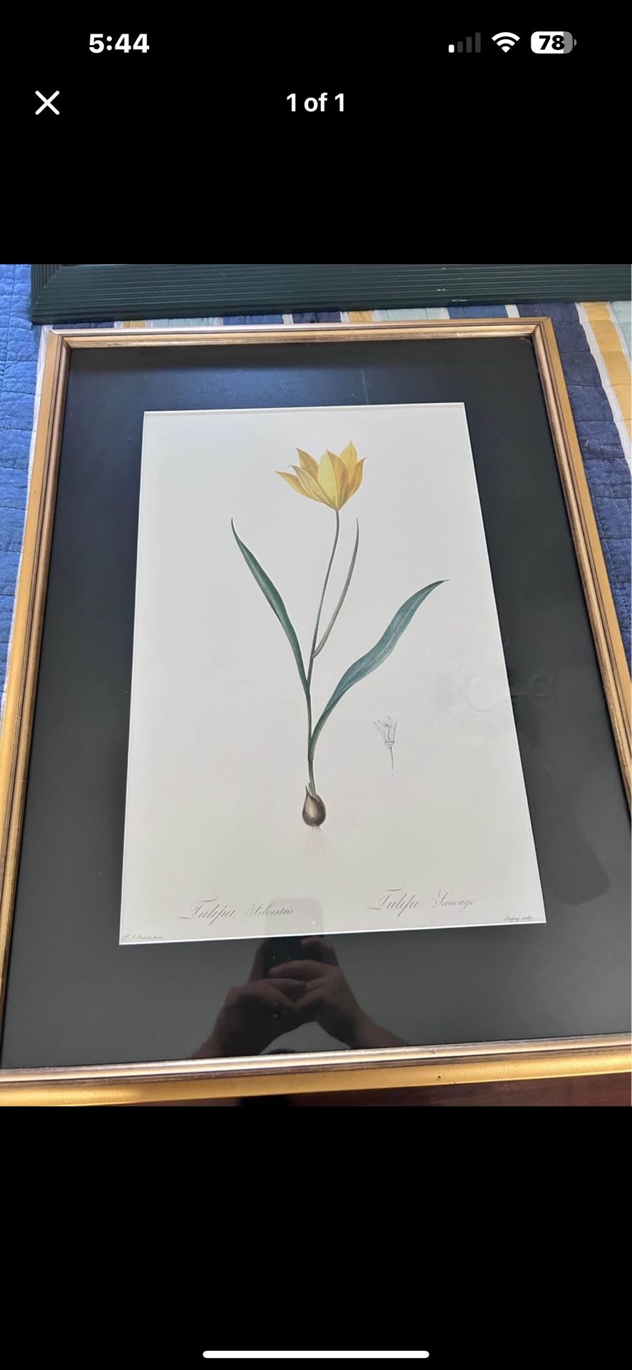 Large Framed Floral Painting
