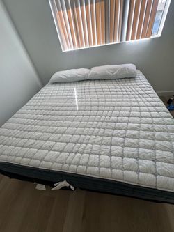 Need gone this week