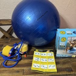 Exercise Ball Used 