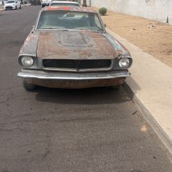 65or66 Mustang