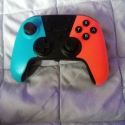 Nintendo Switch Lite Controller 