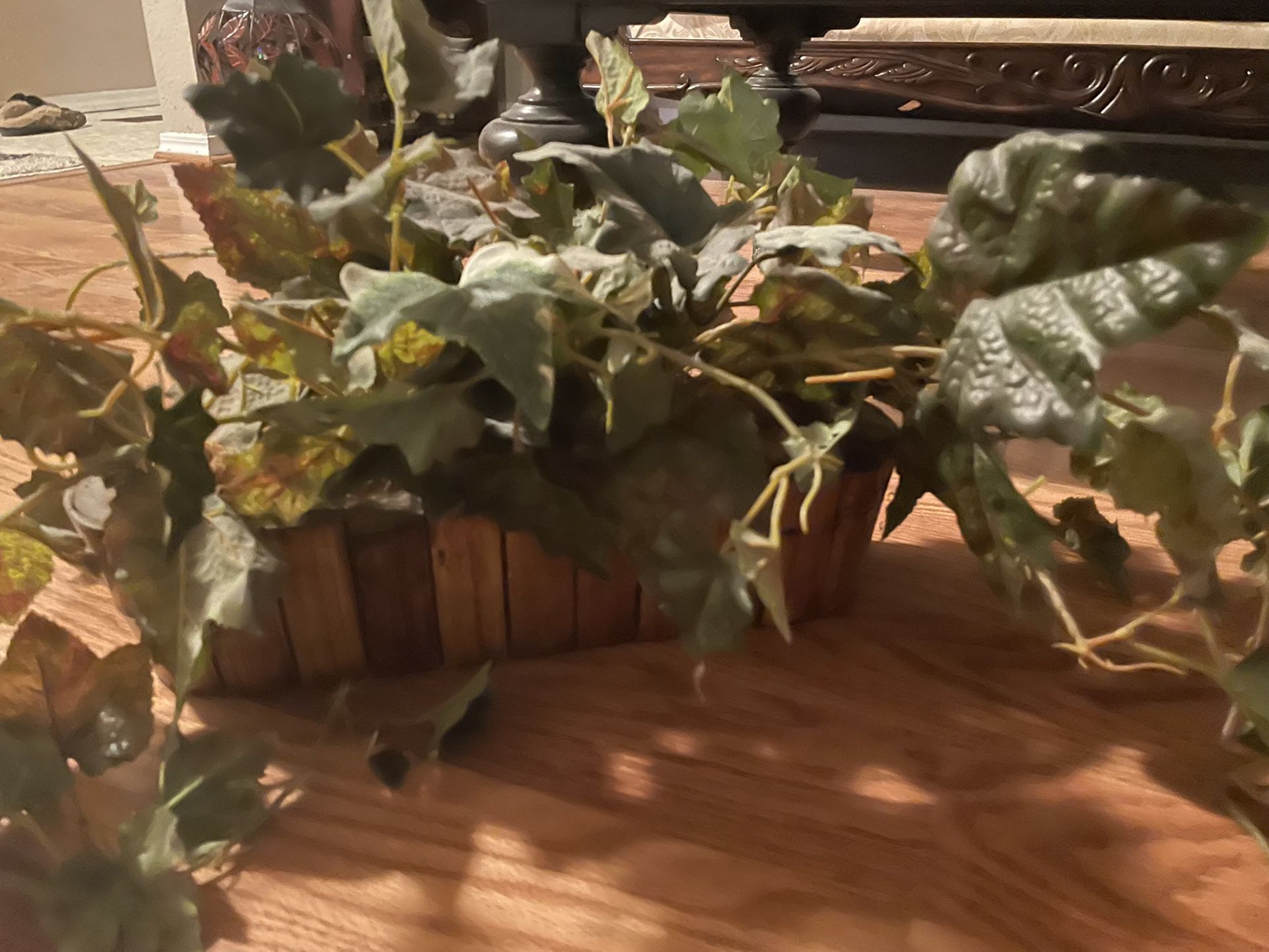 Grape vine silk plant large