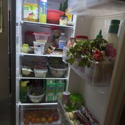 Samsung Fridge 
