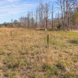 25 Acres In Savannah Ga