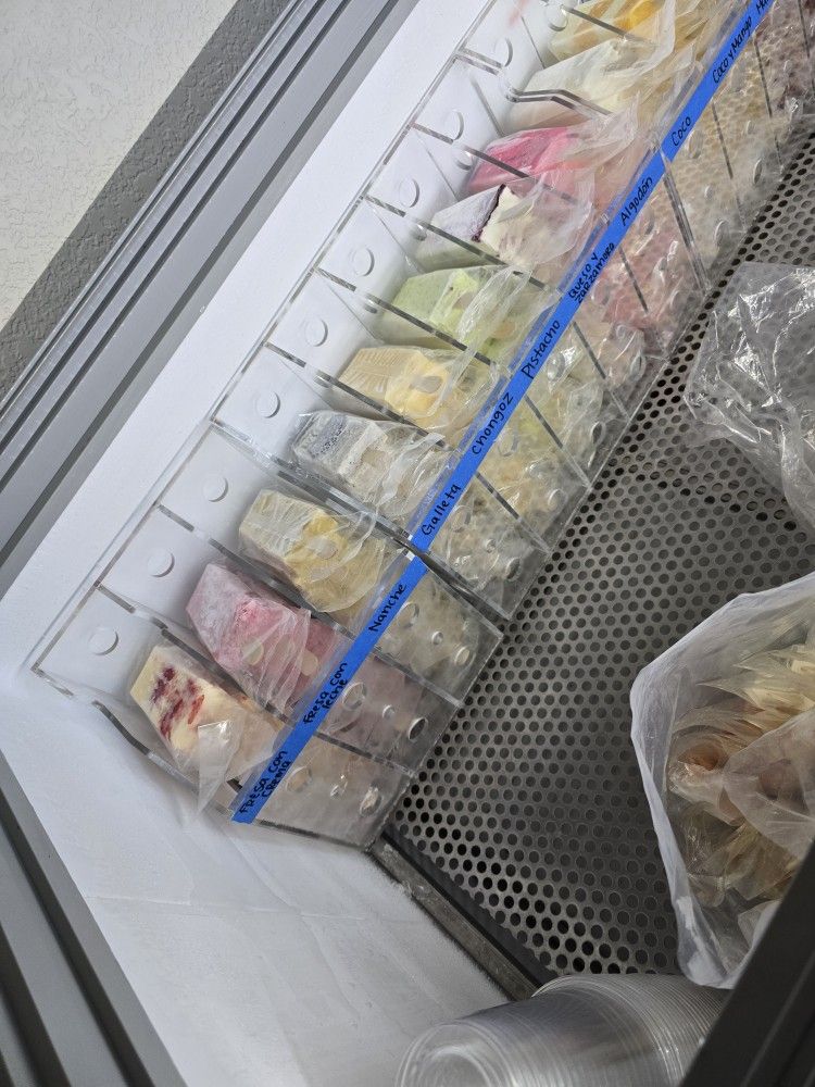 Paletas!