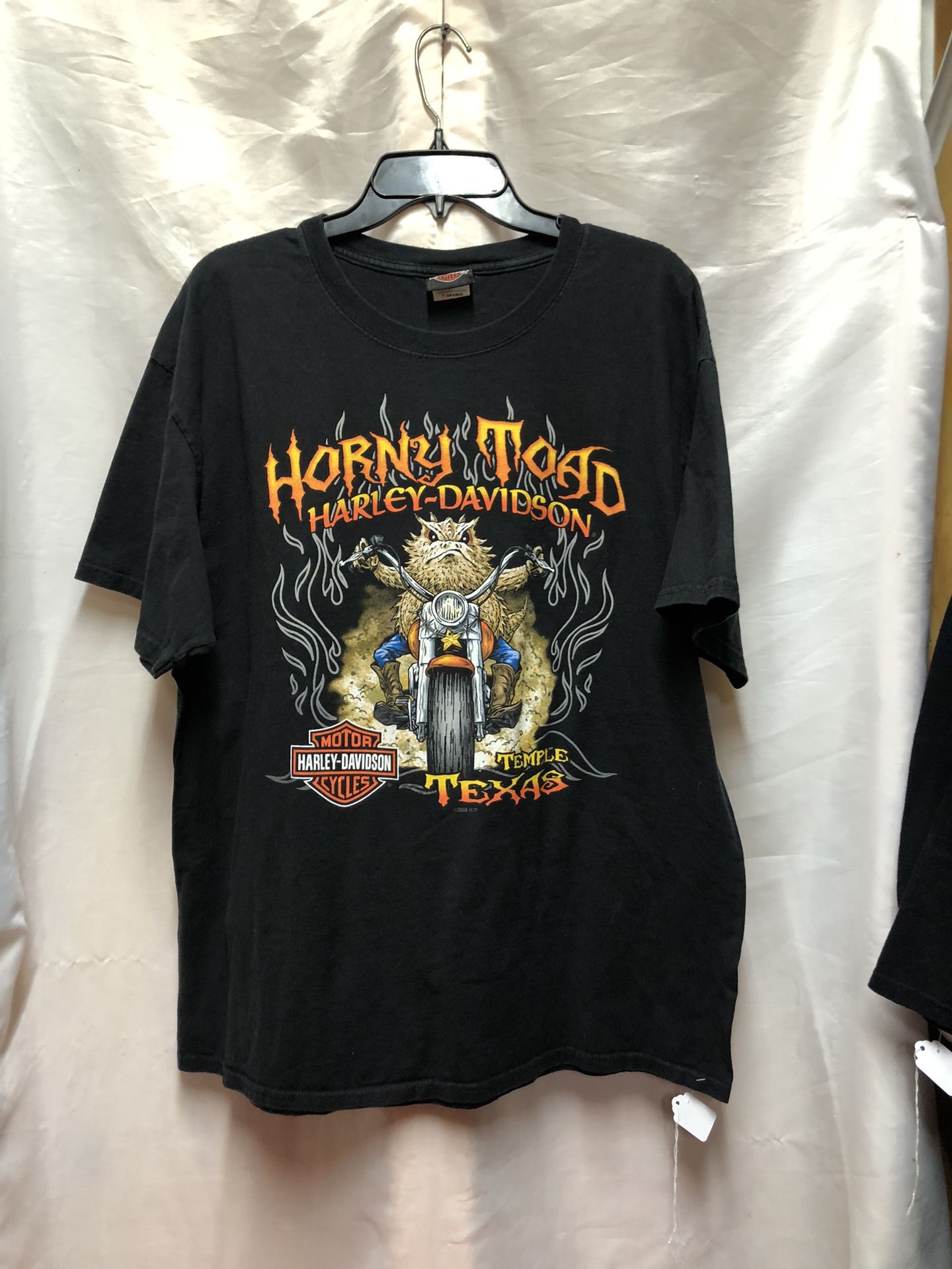 Harley Davidson HORNY TOAD Double Sided Graphic Tee