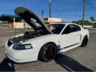 2003 mustang Mach 1