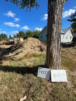Dirt Free- corner of Rogers and 7th SW Olympia