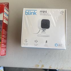 Blink Mini