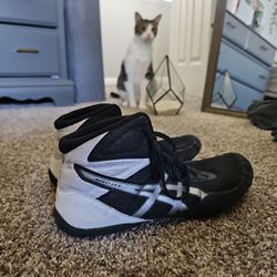 Asics Wrestling Shoes (used)